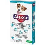 Ataxxa 500 mg/100 mg (cani da 4 kg a 10 kg) 1×1 ml, soluzione per cani