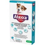 Ataxxa 500 mg/100 mg (cani da 4 kg a 10 kg) 1×1 ml, soluzione per cani