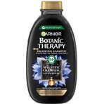 Garnier Botanic Therapy Shampoo detergente al carbone magnetico, 250 ml 1×250 ml, shampoo detergente