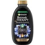 Garnier Botanic Therapy Champú Limpiador de Carbón Magnético, 250 ml 1×250 ml, champú limpiador