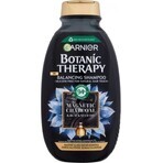 Garnier Botanic Therapy Shampoo detergente al carbone magnetico, 250 ml 1×250 ml, shampoo detergente