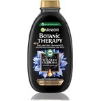 Garnier Botanic Therapy Shampoo detergente al carbone magnetico, 250 ml 1×250 ml, shampoo detergente