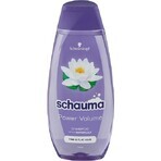 Schauma Power Volumen Shampoo 48H 1×400 ml 1×400 ml, Shampoo