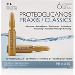 Proteoglykane Classics 6x2ml 6×2 ml, ser