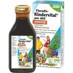 SALUS Floradix Floradix Kindervital fruchtig 1×250 ml, Kräutersirup