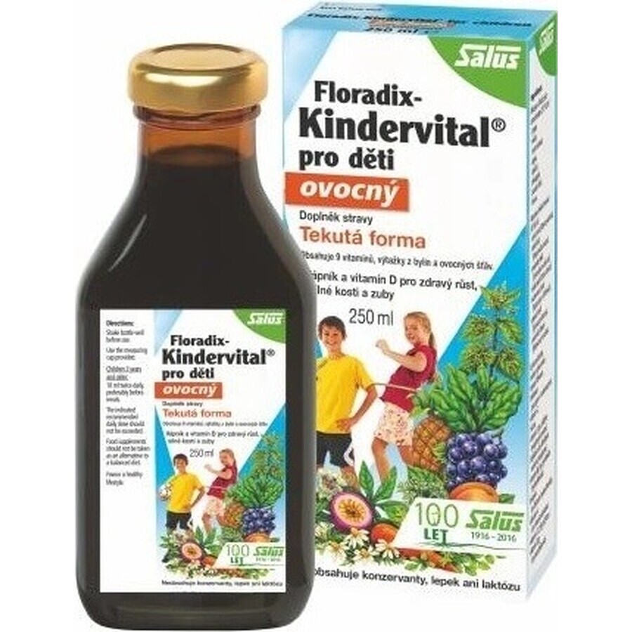 SALUS Floradix Floradix Kindervital fruchtig 1×250 ml, Kräutersirup