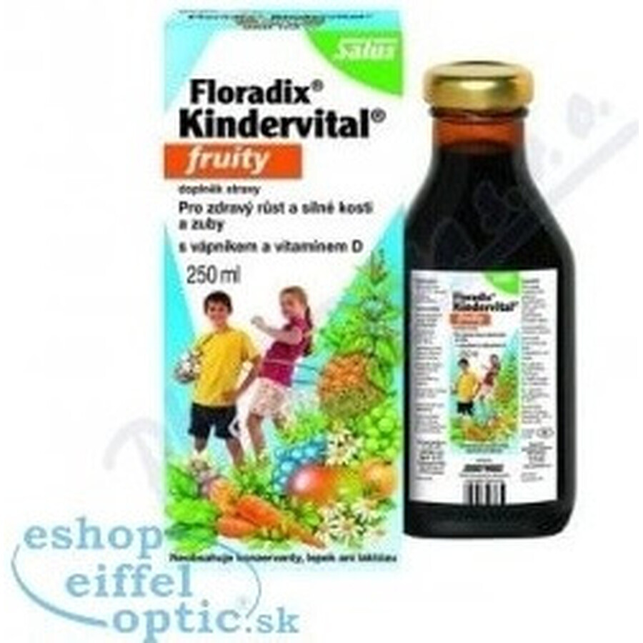 SALUS Floradix Floradix Kindervital fruchtig 1×250 ml, Kräutersirup