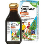 SALUS Floradix Floradix Kindervital fruchtig 1×250 ml, Kräutersirup