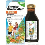 SALUS Floradix Floradix Kindervital fruchtig 1×250 ml, Kräutersirup