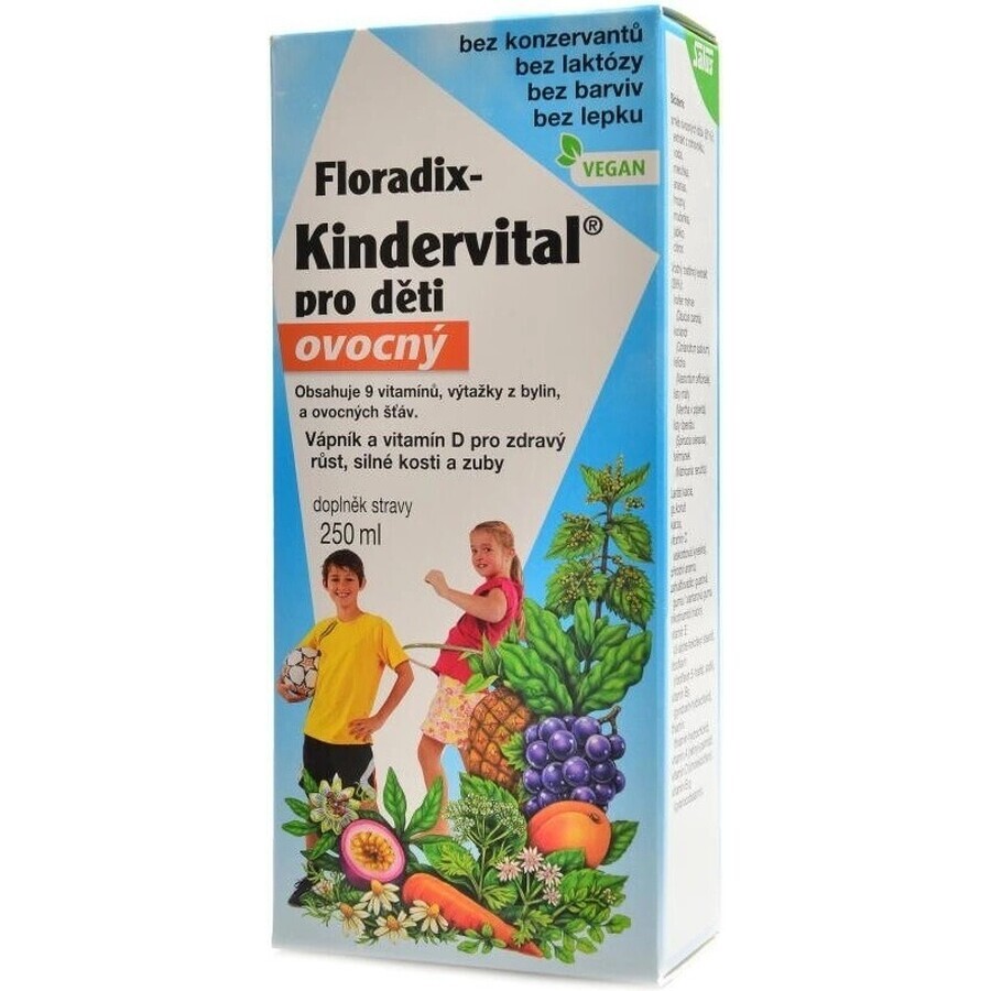 SALUS Floradix Floradix Kindervital fruchtig 1×250 ml, Kräutersirup