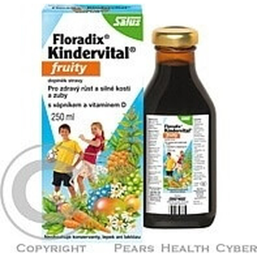 SALUS Floradix Floradix Kindervital fruchtig 1×250 ml, Kräutersirup