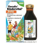 SALUS Floradix Floradix Kindervital fruchtig 1×250 ml, Kräutersirup