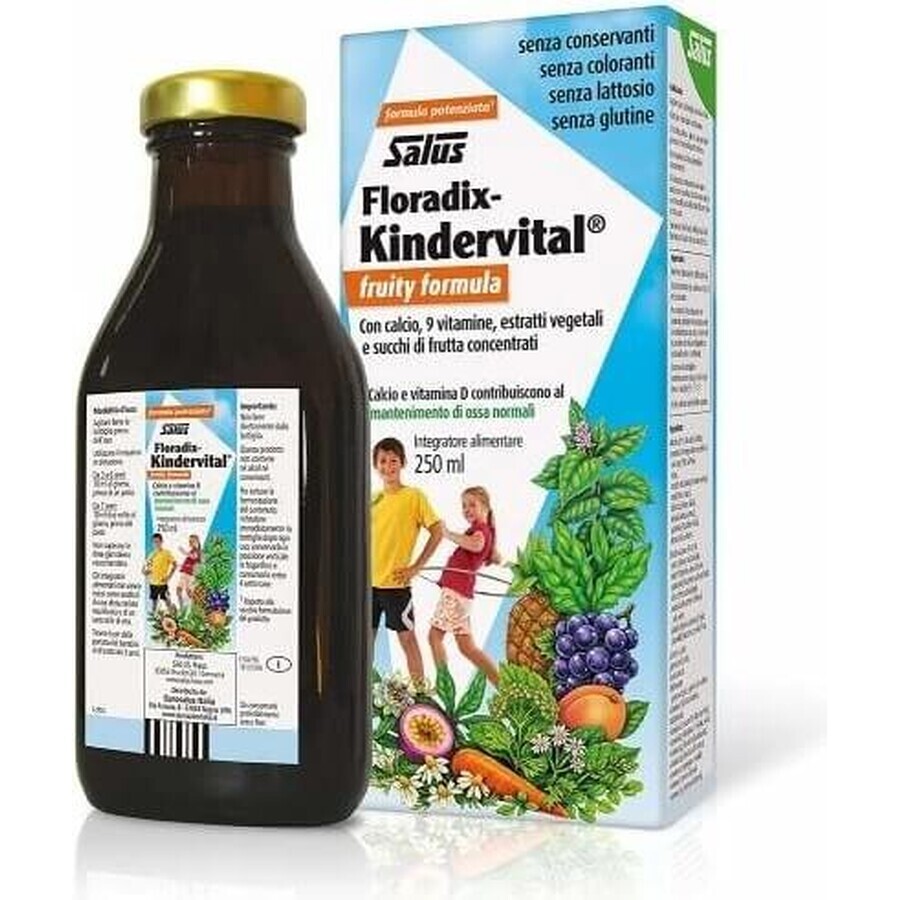 SALUS Floradix Floradix Kindervital fruchtig 1×250 ml, Kräutersirup