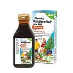 SALUS Floradix Floradix Kindervital fruchtig 1×250 ml, Kräutersirup