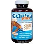 TEREZIA Gelatine Plus 1×360 cps, Gelenknahrung