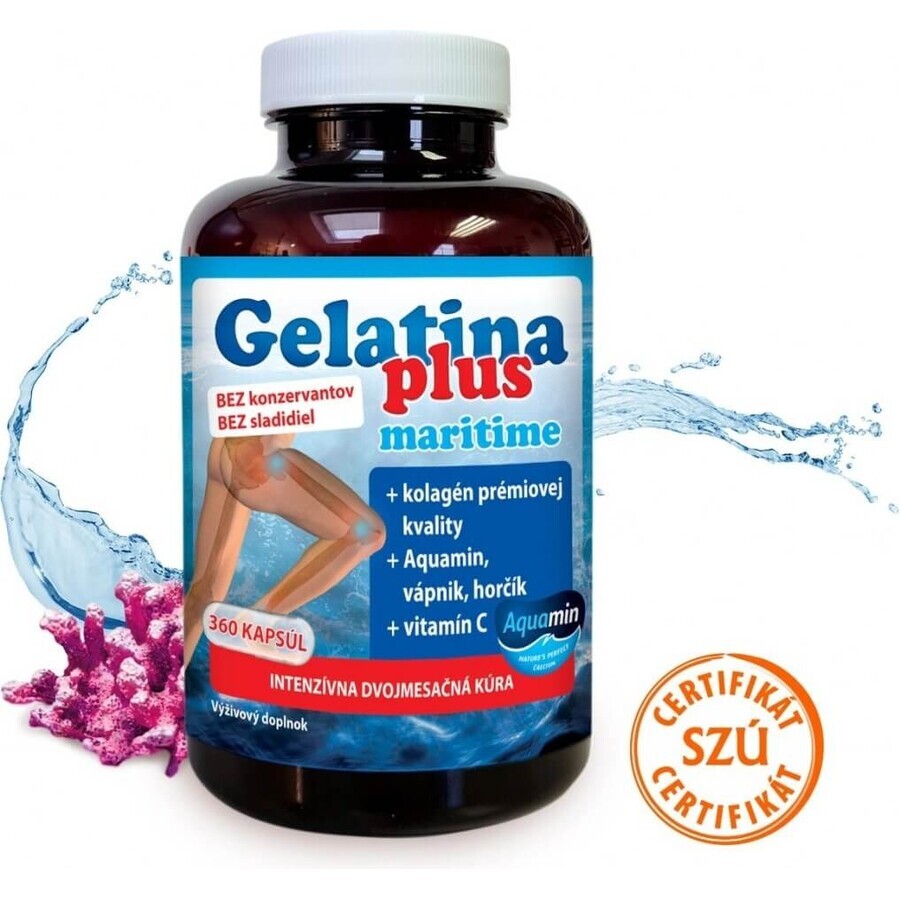 TEREZIA Gelatine Plus 1×360 cps, Gelenknahrung