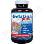 TEREZIA Gelatine Plus 1×360 cps, Gelenknahrung