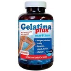 TEREZIA Gelatine Plus 1×360 cps, Gelenknahrung