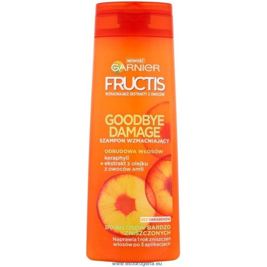 Garnier Fructis Champú Goodbye Damage 1×400 ml, champú