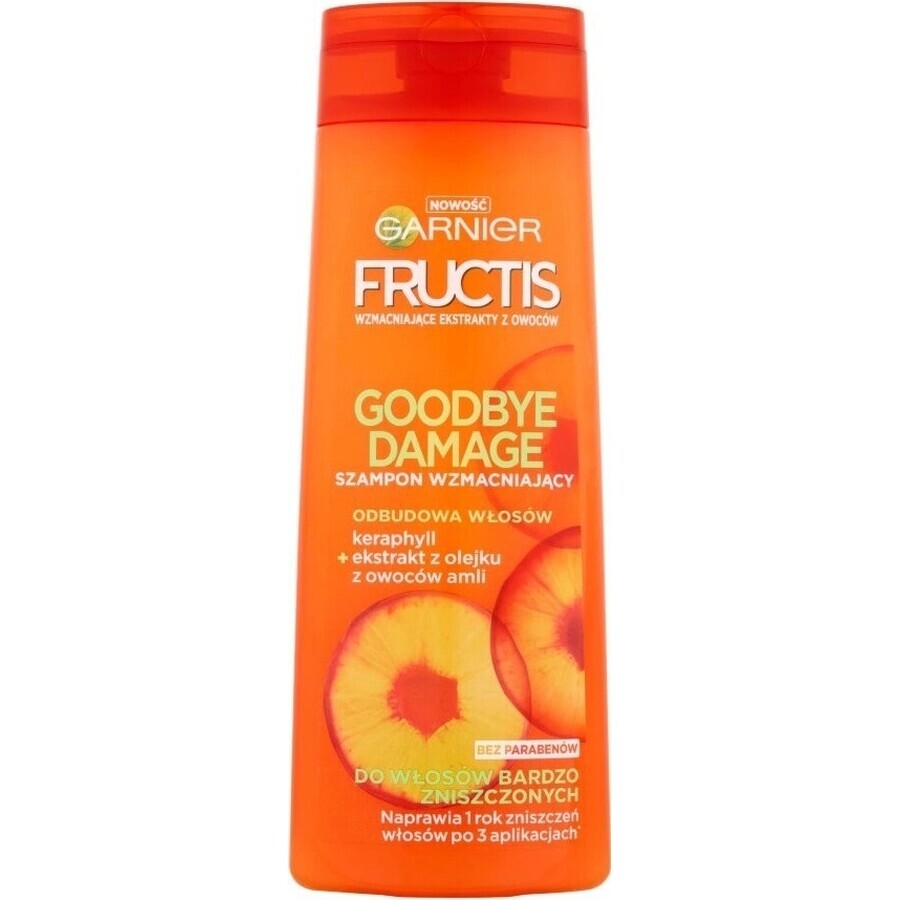 Garnier Fructis Champú Goodbye Damage 1×400 ml, champú