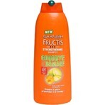 Garnier Fructis Champú Goodbye Damage 1×400 ml, champú