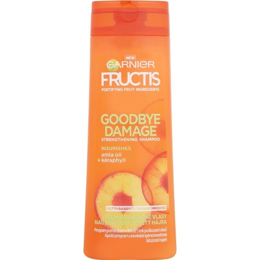 Garnier Fructis Champú Goodbye Damage 1×400 ml, champú