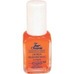 FOUR SEASONS LACCA ANTIFRODE PER UNGHIE 1×14 ml con buccia d'arancia