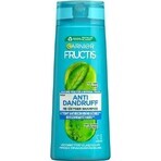 Garnier Fructis Champú Limpiador Anticaspa para todo tipo de cabellos con caspa 1×250 ml, champú