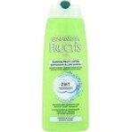 Garnier Fructis Champú Limpiador Anticaspa para todo tipo de cabellos con caspa 1×250 ml, champú