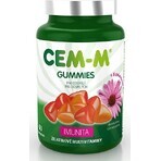 CEM-M for Adults Immunity 1×90 tbl, Multivitamin mit Mineralien