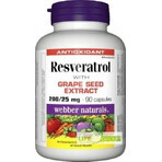 WEBBER NATURALS Resveratrol 200 mg 1×90 cps, Nahrungsergänzungsmittel