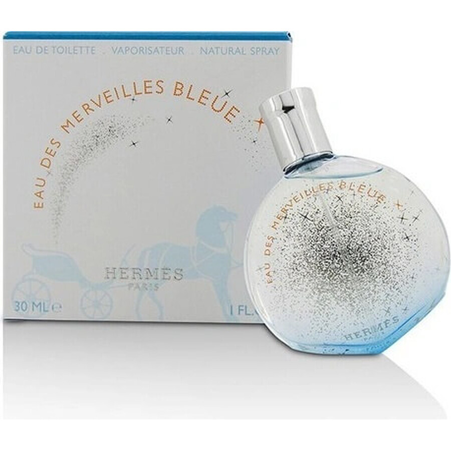 Hermes Eau Des Merveilles Bleue Eau Des Merveilles Edt 100ml 1×100 ml, Eau de Toilette