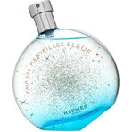 Hermes Eau Des Merveilles Bleue Eau Des Merveilles Edt 100ml 1×100 ml, Eau de Toilette