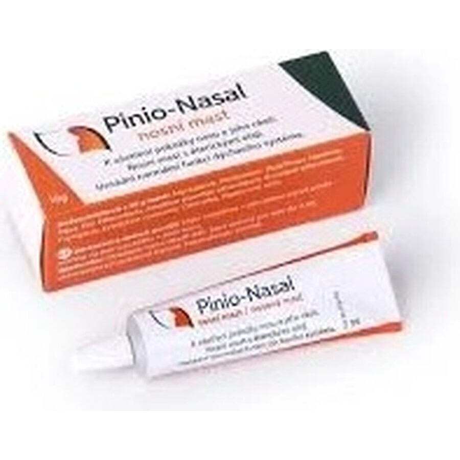 Pinio-Nasal unguento nasale 1×10 g, unguento nasale