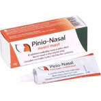 Pinio-Nasal unguento nasale 1×10 g, unguento nasale