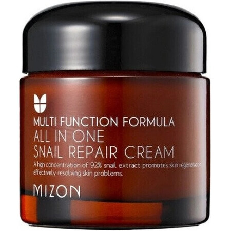 Mizon All In One Crema Reparadora de Caracol 75 ml 1×75 ml