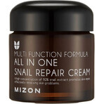 Mizon All In One Crema Reparadora de Caracol 75 ml 1×75 ml