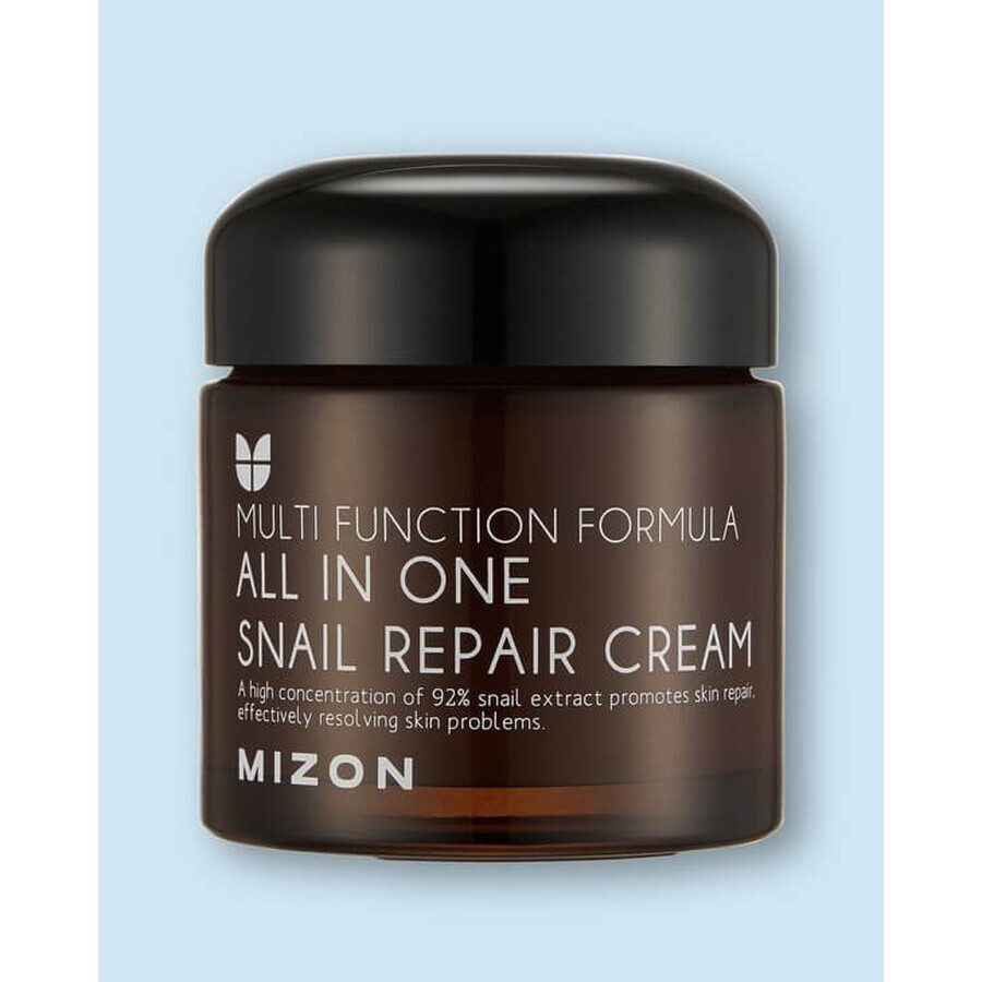 Mizon All In One Crema Reparadora de Caracol 75 ml 1×75 ml