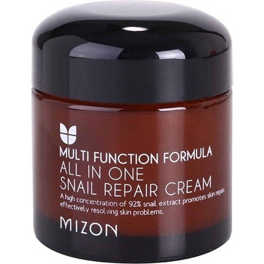 Mizon All In One Crema Reparadora de Caracol 75 ml 1×75 ml