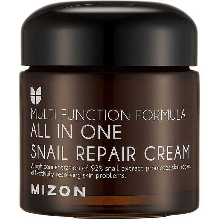 Mizon All In One Crema Reparadora de Caracol 75 ml 1×75 ml