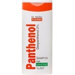 Dr. Müller PANTHENOL SHAMPOO Für fettiges Haar 1×250 ml, Shampoo