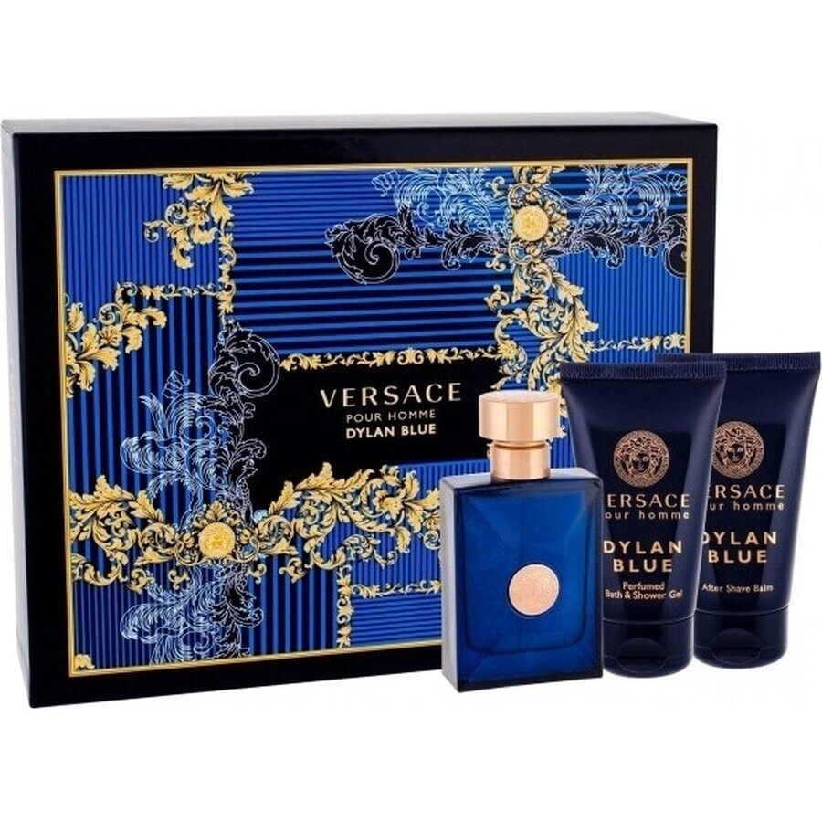 VERSACE POUR HOMME DYLAN B Eau de Toilette 50ML 1×50 ml, Eau de Toilette