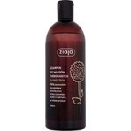 Ziaja - Sunflower family shampoo for dyed hair 1×500 ml