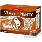 TEREZIA HAIR & NECHTY 1×60 cps, Nahrungsergänzungsmittel