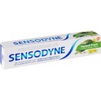 SENSODYNE Herbal Fresh 1×75 ml toothpaste