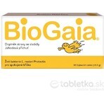 BioGaia ProTectis 1×10 Stück, Kautabletten - Erdbeergeschmack