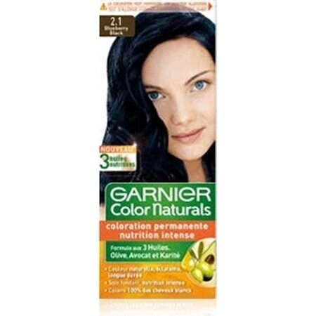 Garnier Color Naturals Permanent Hair Colour 2.10 Blue-Black 1×1 pièce, coloration de cheveux