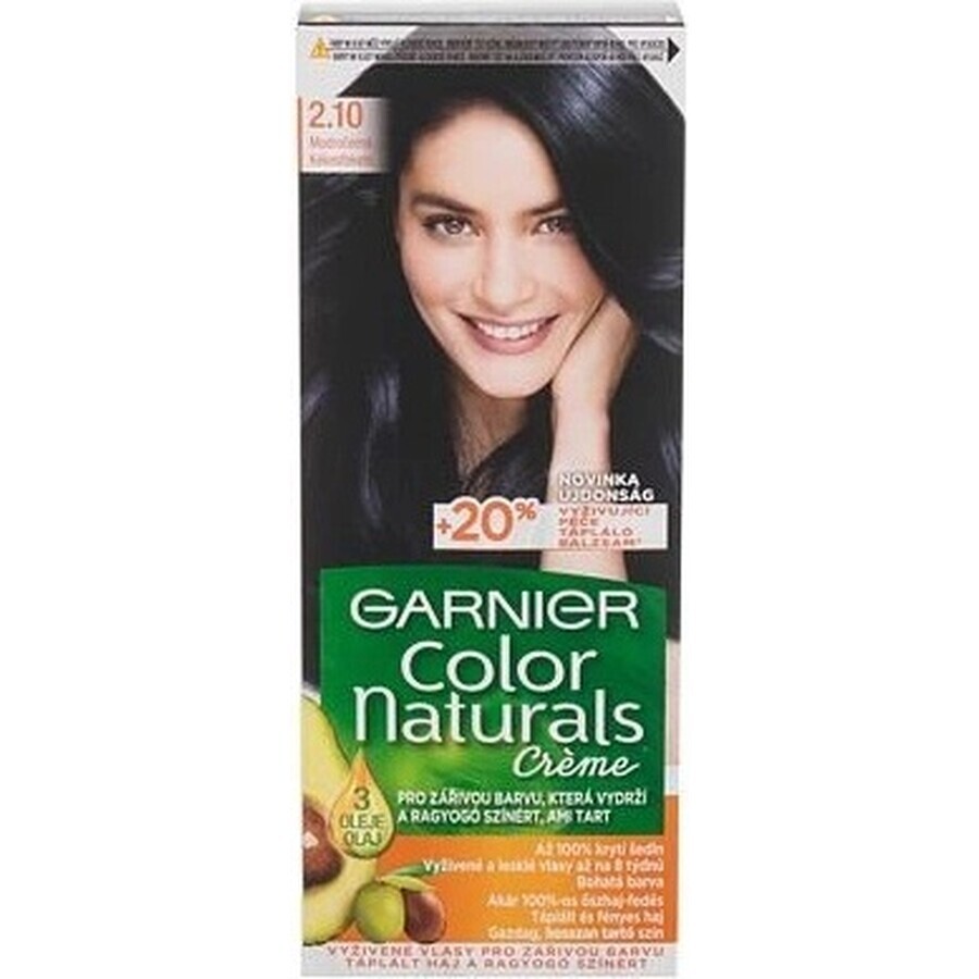 Garnier Color Naturals Permanent Hair Colour 2.10 Blue-Black 1×1 pièce, coloration de cheveux