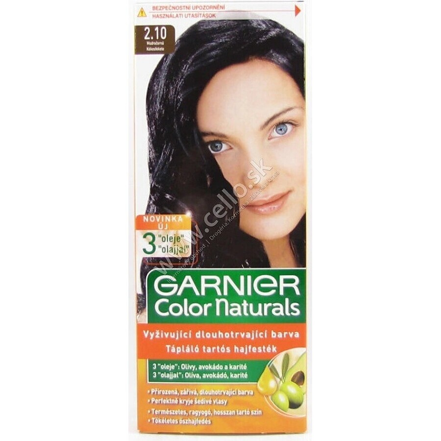 Garnier Color Naturals Permanent Hair Colour 2.10 Blue-Black 1×1 pièce, coloration de cheveux