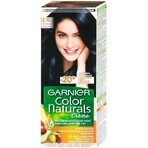 Garnier Color Naturals Permanent Hair Colour 2.10 Blue-Black 1×1 pièce, coloration de cheveux